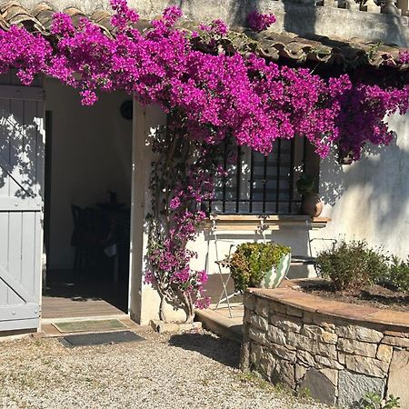Les Palmiers Apartment Frejus Luaran gambar